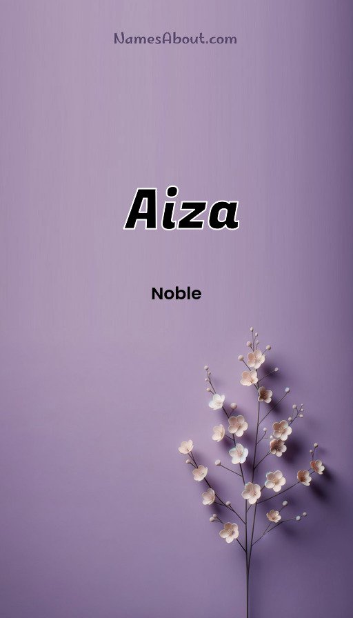 Meaning of Aiza