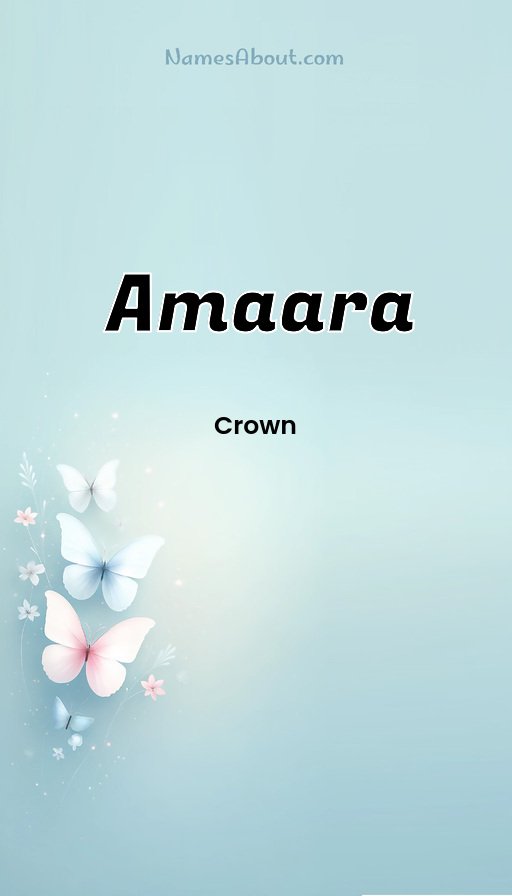 Meaning of Amaara