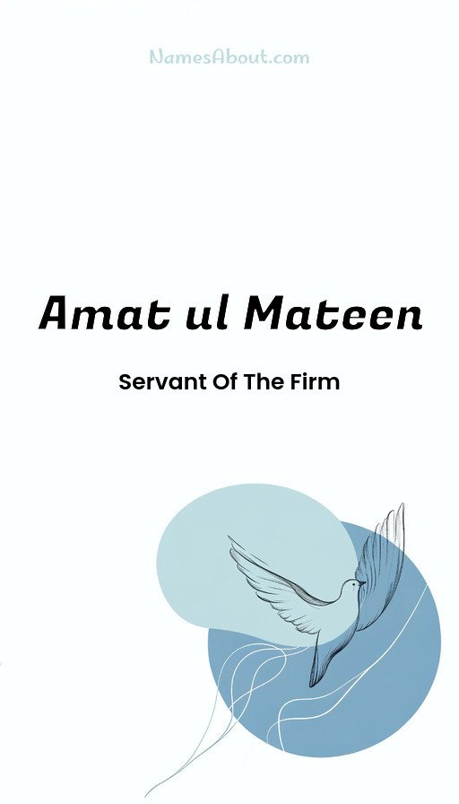 Meaning of Amat ul mateen