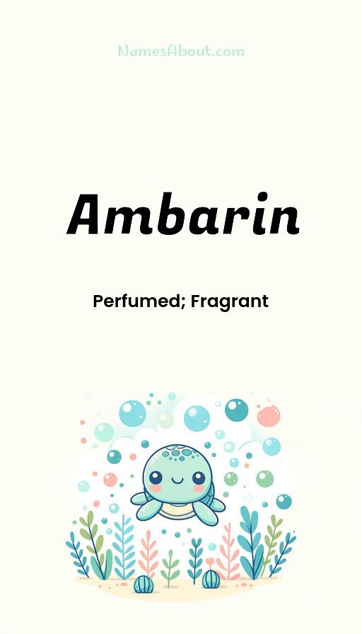 Meaning of Ambarin