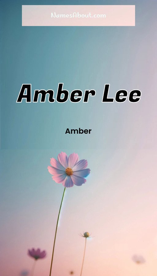 Meaning of Amber lee