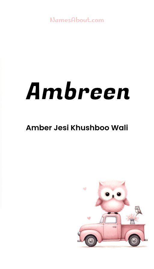 Meaning of Ambreen