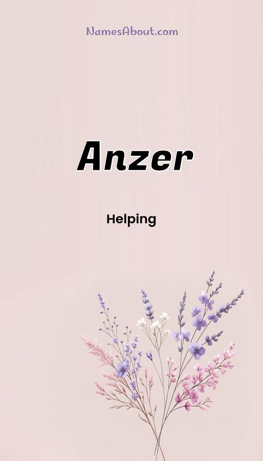 Meaning of Anzer