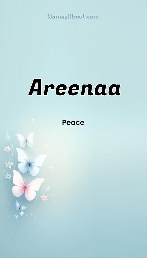 Illustration of Areenaa