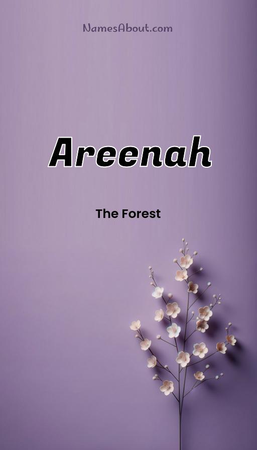 Illustration of Areenah