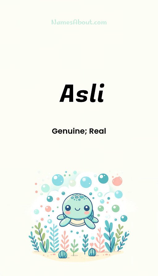 Meaning of Asli