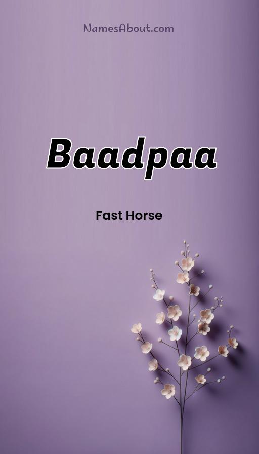 Illustration of Baadpaa