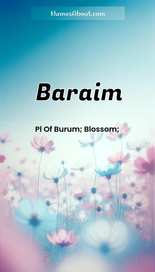Meaning of Baraim