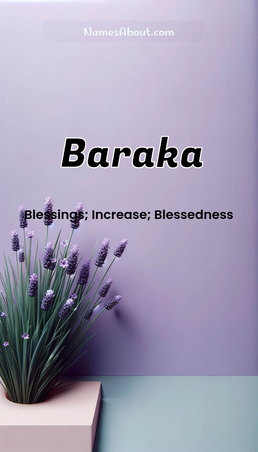 Meaning of Baraka