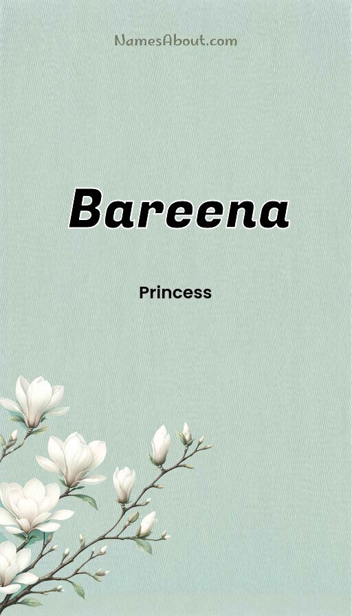 Meaning of Bareena