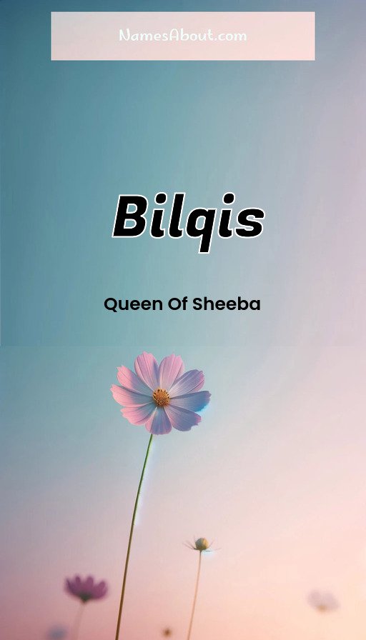 Meaning of Bilqis