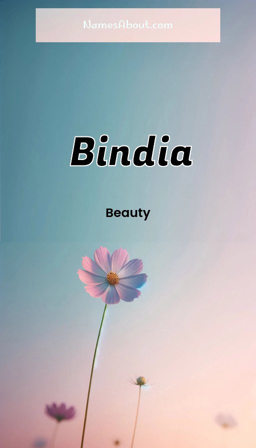 Meaning of Bindia