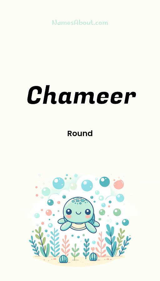 Meaning of Chameer