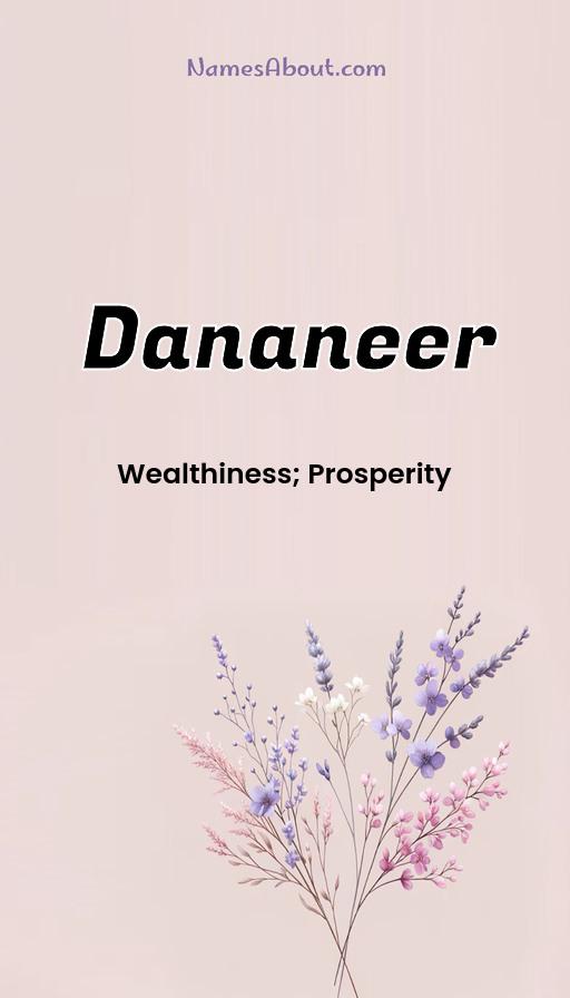 Meaning of Dananeer