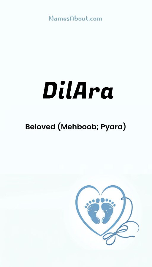 Meaning of Dilara
