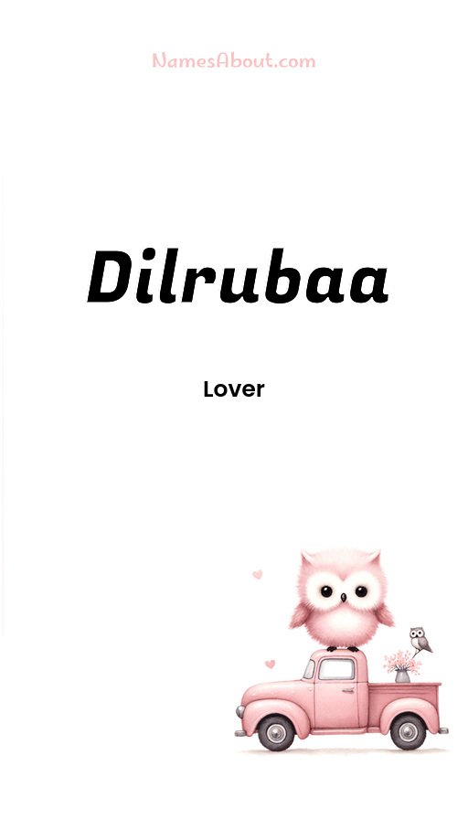 Meaning of Dilrubaa