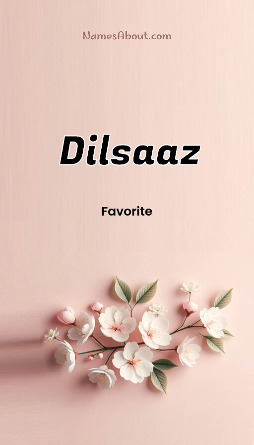 Meaning of Dilsaaz