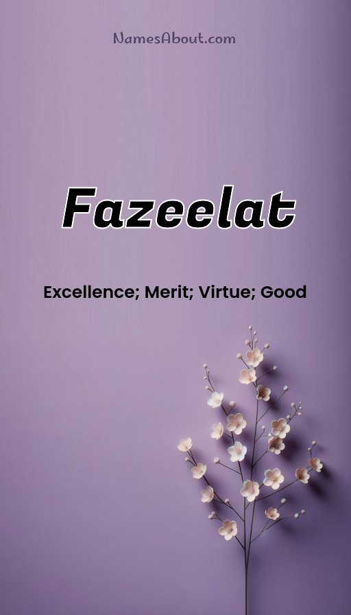 Meaning of Fazeelat