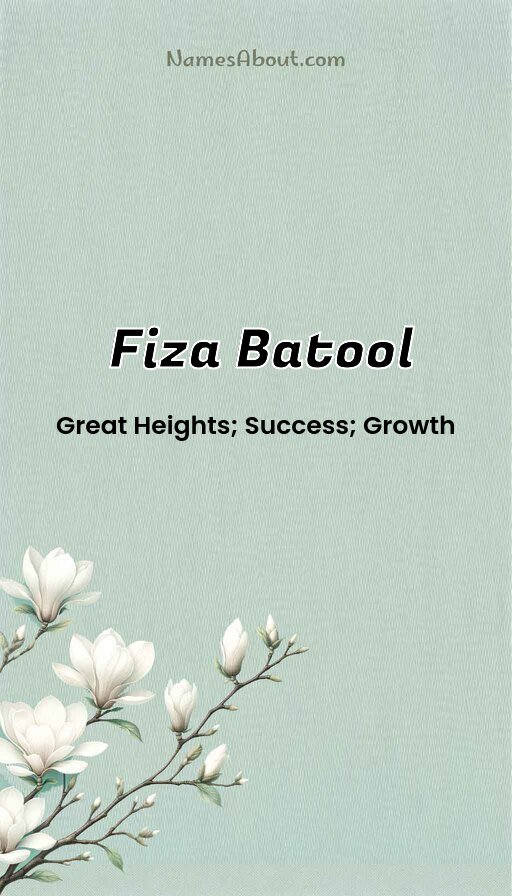 Meaning of Fiza batool