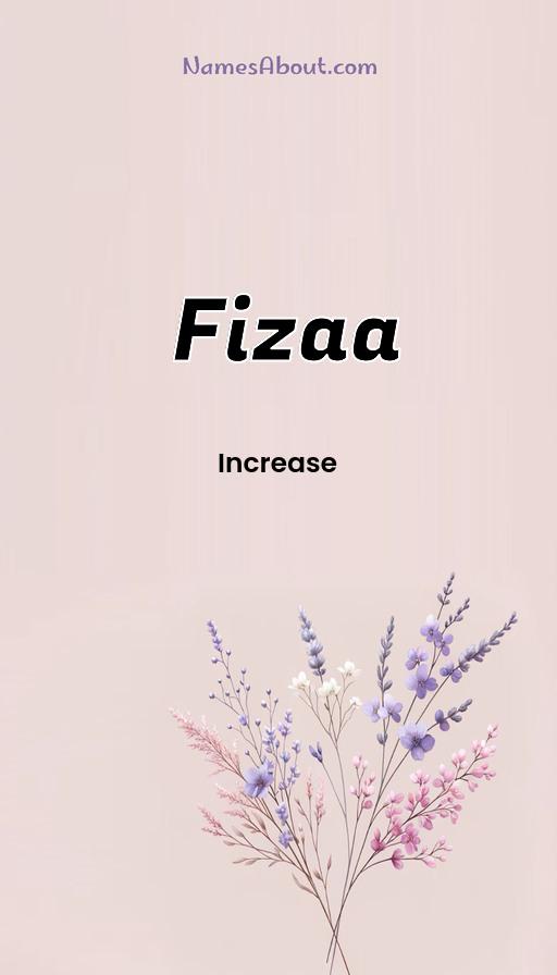 Illustration of Fizaa