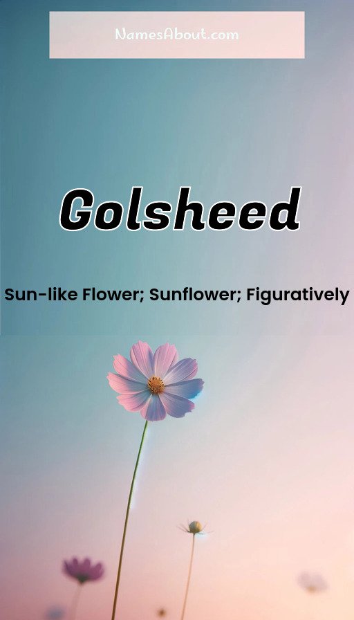 Meaning of Golsheed