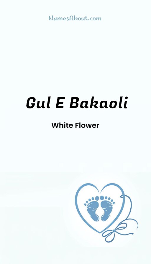 Meaning of Gul E Bakaoli