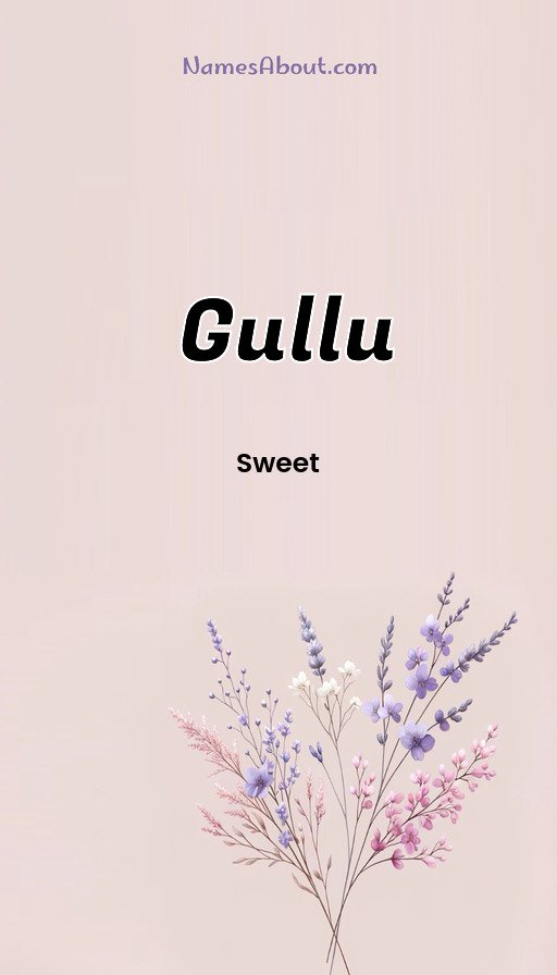 Meaning of Gullu