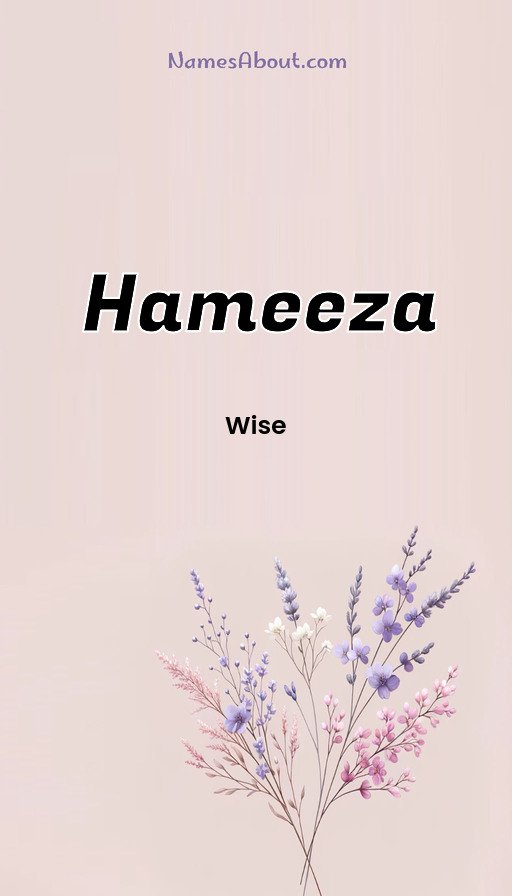 Meaning of Hameeza