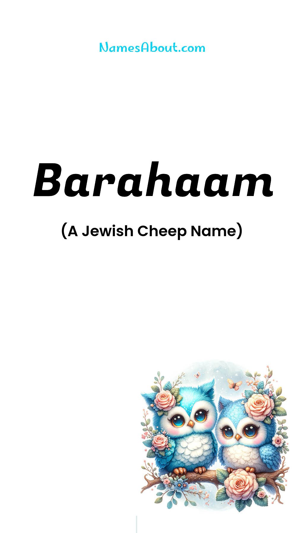 Barahaam name and meaning