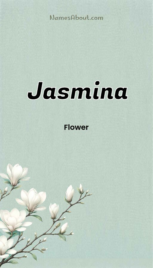 Meaning of Jasmina