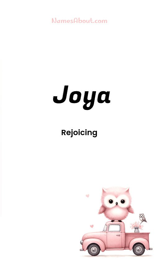 Meaning of Joya