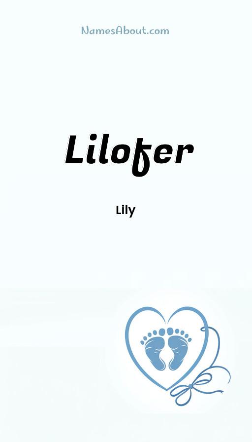 Meaning of Lilofer