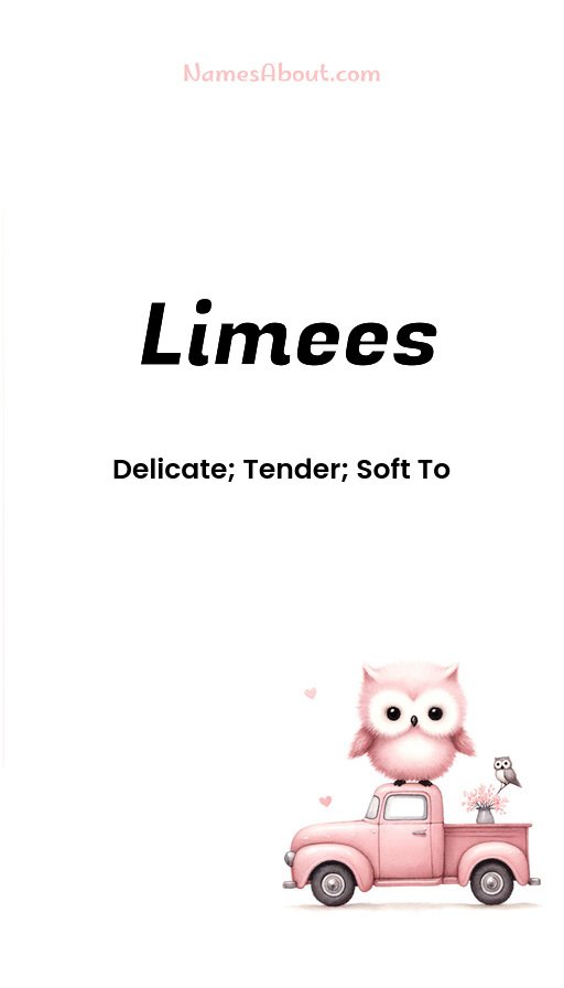 Meaning of Limees