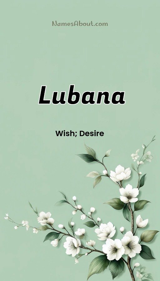Meaning of Lubana