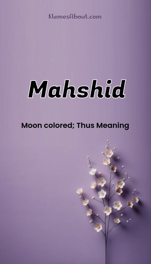 Meaning of Mahshid