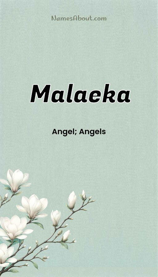 Meaning of Malaeka