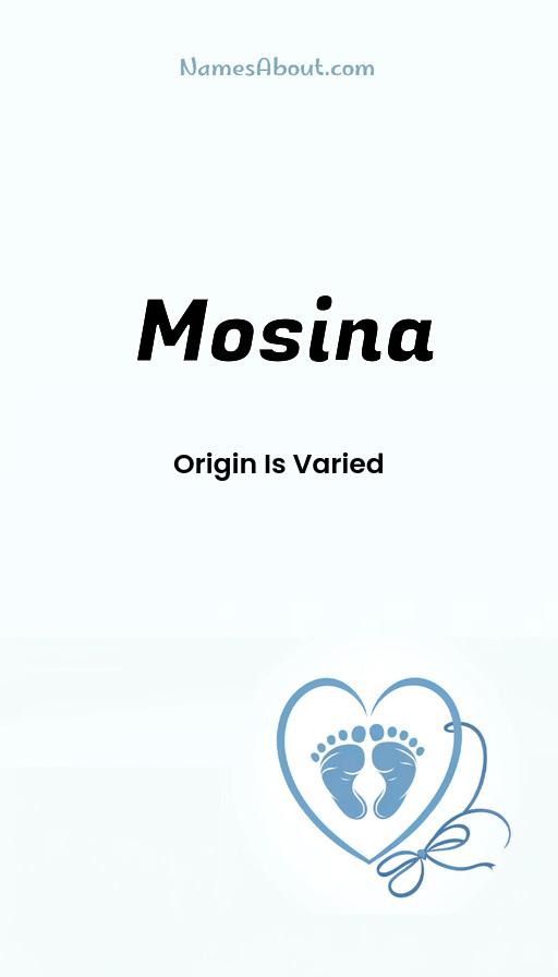 Illustration of Mosina