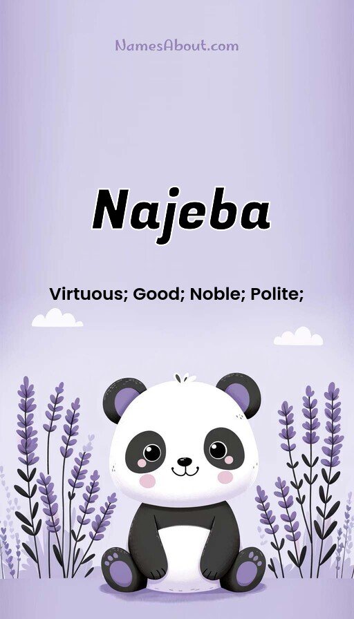 Meaning of Najeba
