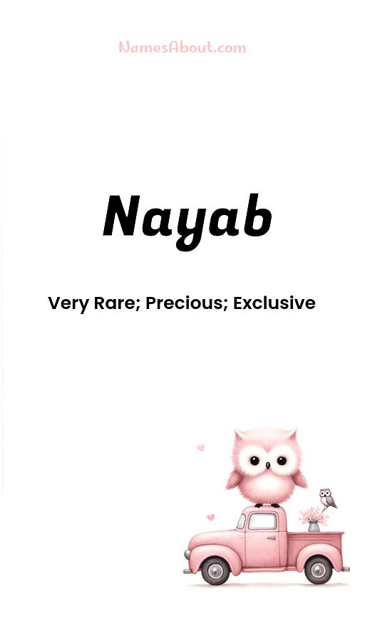 Meaning of Nayab