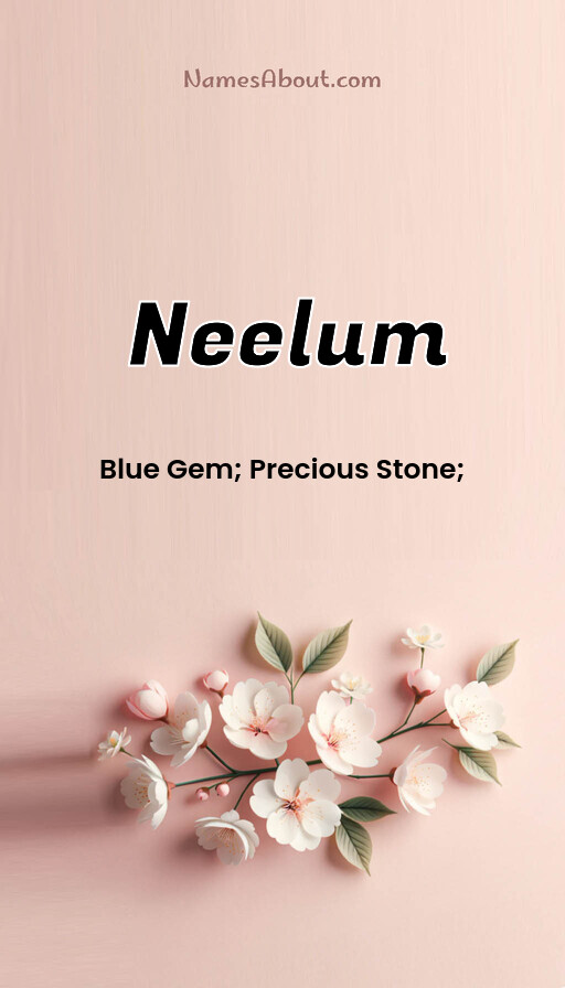 Meaning of Neelum