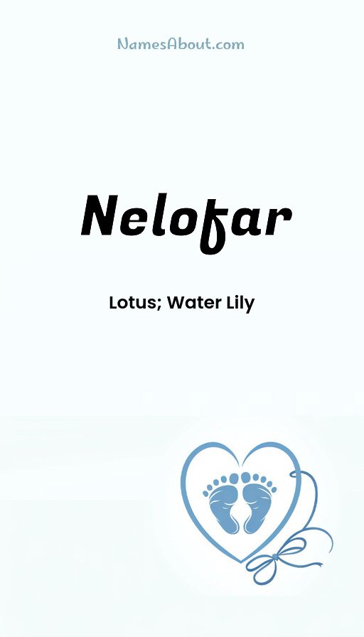 Meaning of Nelofar