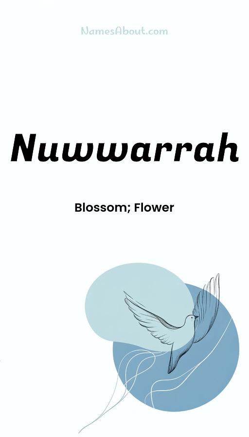 Illustration of Nuwwarrah