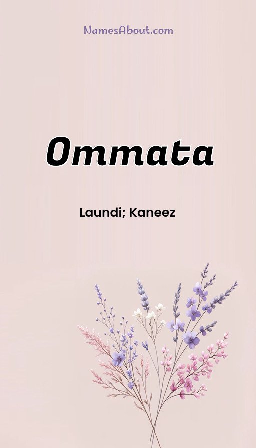 Meaning of Ommata