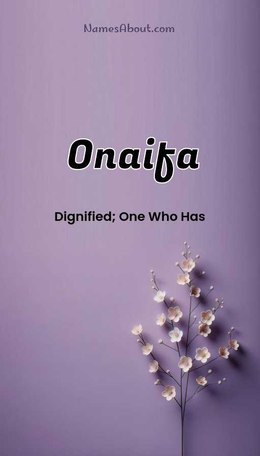 Meaning of Onaifa