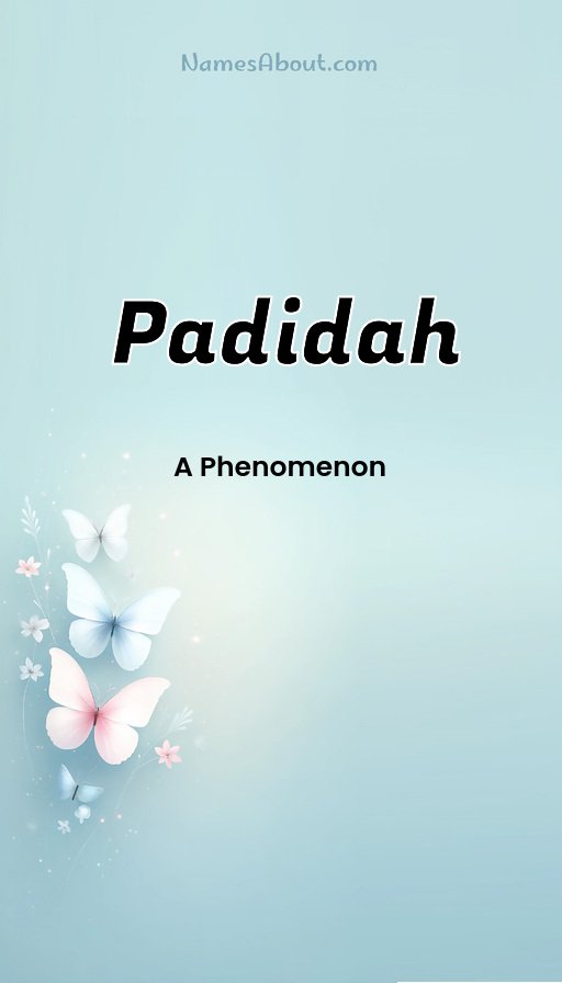 Meaning of Padidah