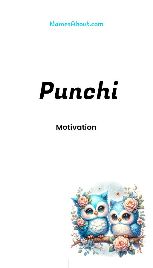 Meaning of Punchi