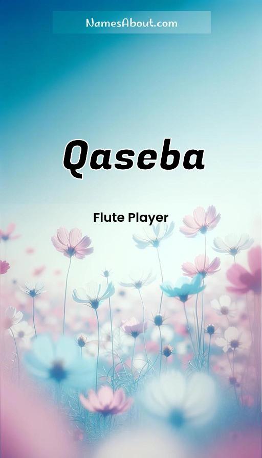 Meaning of Qaseba