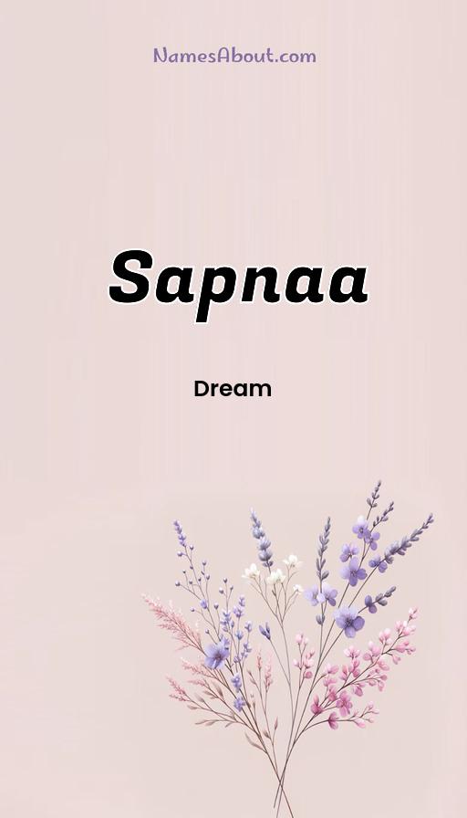 Illustration of Sapnaa