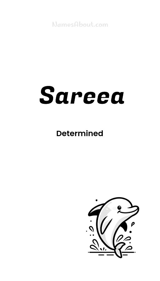 Meaning of Sareea