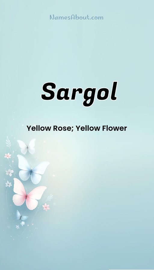 Meaning of Sargol